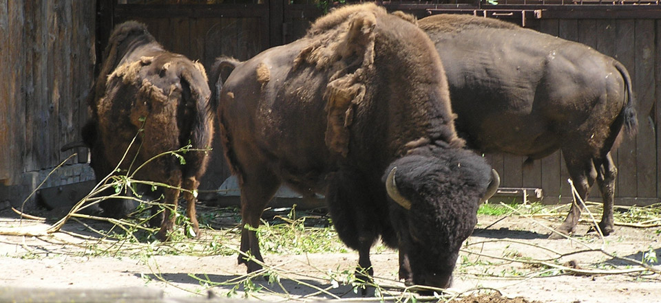 在线DDOS平台攻击